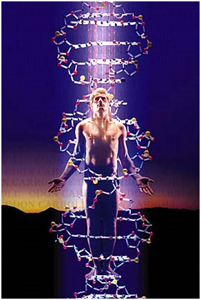 Innate Intelligence - Los Angeles